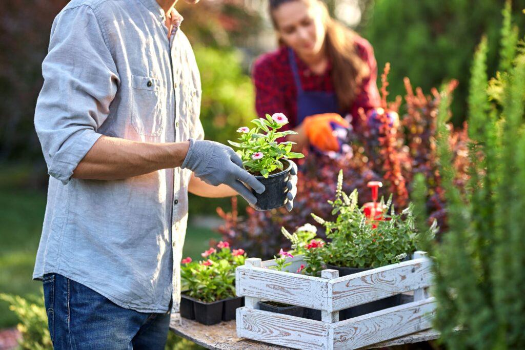 Mann hält einen Blumentopf mit einer blühenden Pflanze in der Hand, während im Hintergrund eine Frau weitere Pflanzen für den Garten vorbereitet.