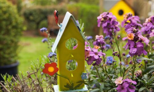 Dekorative Akzente setzen im Garten